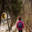 솔리데오 이미지