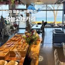 바다다음79 | 인천 영흥도 카페 추천 바다 뷰 실내 동물원 하늘고래카페