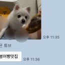 자담치킨구영천상점 네이버블로그
