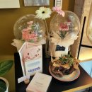 카페모네2호점 이미지