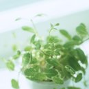 조은느낌 이미지