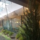 모스디자인주 이미지