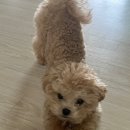 뉴아르뷰티2호점