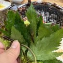 진영 참숯돼지갈비 이미지