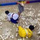 큐브 태권도장 이미지