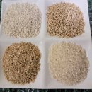 우렁이(일품쌀 찹쌀)3월5일부터 할인판매 이미지