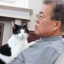 다혜테크 이미지