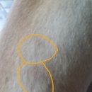 김민재동물병원 이미지