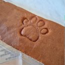 농업회사법인 자연가 유한회사 | 탁류 덕개 아님! 픽셀리 덕개의 멍스테라, 귀여움이 진심이다🐾