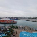 금빛행정사사무소 이미지