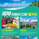 캔투어여행사 이미지