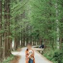 미양농장 이미지