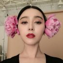 판빙빙 카카오 검색결과