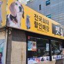애견종합할인마트 이미지