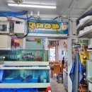 민재민박 이미지