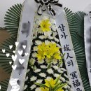 ００７천사꽃배달 이미지