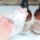 시어스팜 이미지