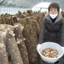 고요농장 이미지