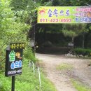 숲속 황토 민박