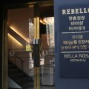벨로벨라 이미지