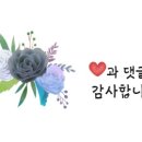 재우농장 네이버블로그