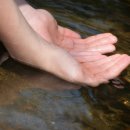 예인병원 이미지