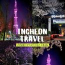 미추홀 문화회관 | 아직도 벚꽃만개인곳이 있다고? 인천 벚꽃야경 드라이브코스 수봉공원 스카이워크 후기, 주차