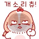 화이트 독 이미지