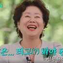 부르네 이미지