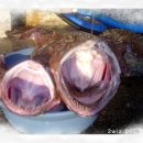 복순아구찜 이미지
