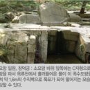 유희정원