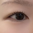 보리네 | 건대속눈썹펌 대만족 후기! '보리네눈썹가게'에서 인생 눈매 찾고 왔어요