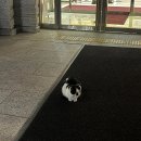 별자리요양원 | 점성술사의 11월일기(2)