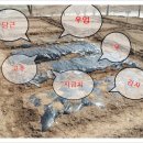 둥이네 농장 이미지