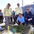 선봉축산 이미지