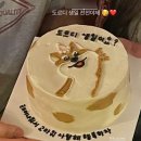 [용인/구성역] 가족들이 모두 좋아하는 케이크 맛집 “하고메” 찐단골 내돈내산 후기