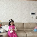 프랜치캣 원피스 3스타일 4살 착샷, 내돈내산 후기