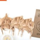 건강한펫 이미지