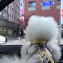 북파주농협파평지점 이미지