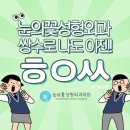 눈의꽃성형외과의원 네이버블로그