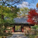 사리1리 경로당 | 오묘한 계룡산 갑사 단풍