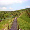 소백산약국 이미지