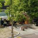 구룡자동차야영장 이미지