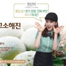 뽕뜨락 쌀피자 이미지