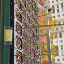 주아농장 이미지