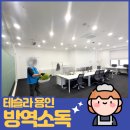 테슬라 용인 서비스센터, 벌레 걱정 끝! 믿음직한 소독 방역 후기