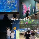 뮤지컬 체험놀이 | 대구실내데이트 고민 끝, 아이들이랑 즐거웠던 대구아쿠아리움 후기