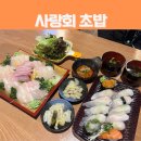 용산-275 | 서울 용산 일식 신상 맛집 신선하고 가성비 퀄리티 좋은 사랑회초밥