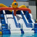 마레모어 이미지