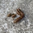 대풍슈퍼 이미지